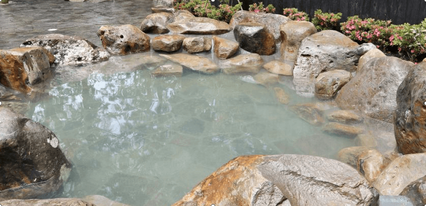 そのぎ茶温泉里山の湯宿つわぶきの花年4月24日から日帰り温泉プランスタート 露天風呂源泉かけ流しつきで記念日にもおすすめ 人生はいつも今から Life Is Always From Now